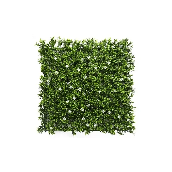 Jardín vertical | Aptenia + White Flower
