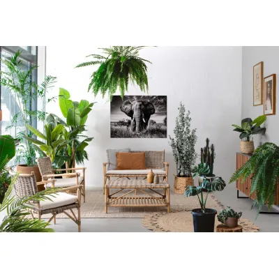 comprar SILLÓN CON COJINES TARIFA online de BIZZOTTO desde 326,70 €
