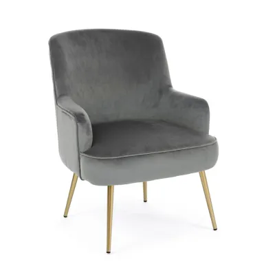 comprar SILLÓN CLELIA GRIS online de BIZZOTTO desde 257,00 €