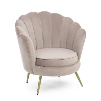 comprar SILLÓN GILIOLA GRIS CLARO online de BIZZOTTO desde 401,12 €