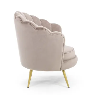 comprar SILLÓN GILIOLA GRIS CLARO online de BIZZOTTO desde 401,12 €