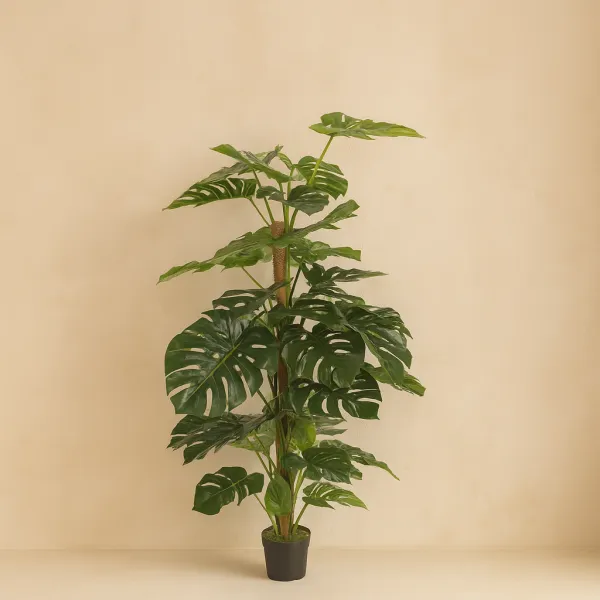 478504 FB TUTOR MONSTERA 120CM C/M (473398)