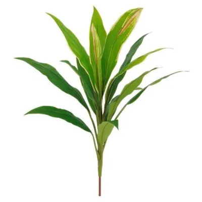 comprar 🔥 Planta Cordelini RF Ignífuga online de  desde 29,65 €