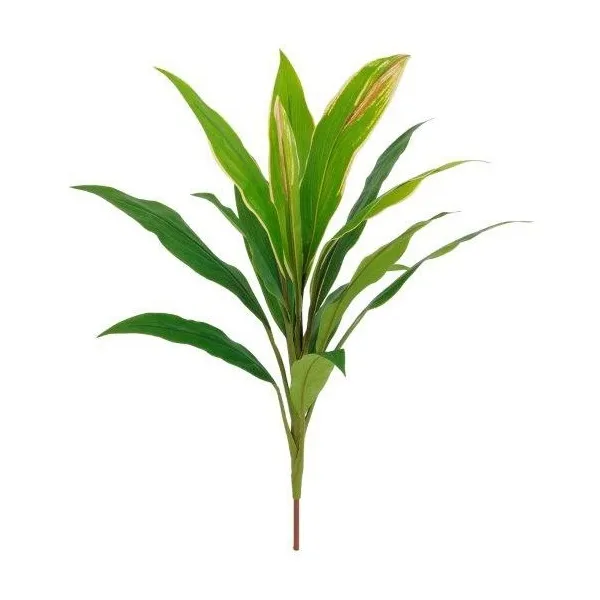 🔥 Planta Cordelini RF Ignífuga