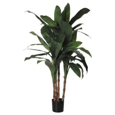comprar 🔥 Planta Cordelini X44 100 cm RF Ignífuga online de  desde 332,84 €