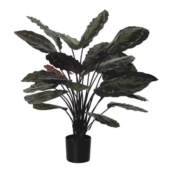 🔥 Planta Calathea X25 62 cm RF Ignífuga