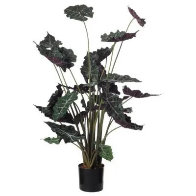 comprar 🔥 Planta Alocasia X28H 110 cm RF Ignífuga online de  desde 546,92 €