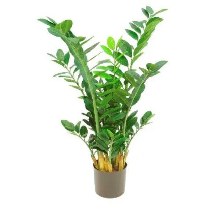 comprar 🔥 Zamioculca 90 RF Ignífuga online de  desde 249,14 €