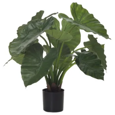 comprar 🔥 Planta Alocasia X14 60 cm RF Ignífuga online de  desde 184,54 €