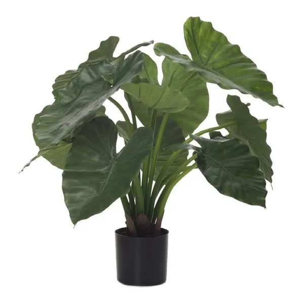 🔥 Planta Alocasia X14 60 cm RF Ignífuga