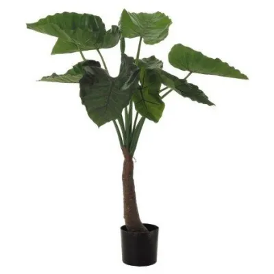 comprar 🔥 Planta Alocasia X10 100 cm RF Ignífuga online de  desde 331,54 €