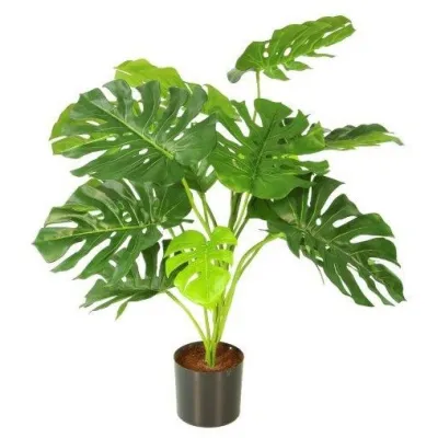 comprar 🔥 Planta Monstera 15 RF Ignífuga online de  desde 193,74 €