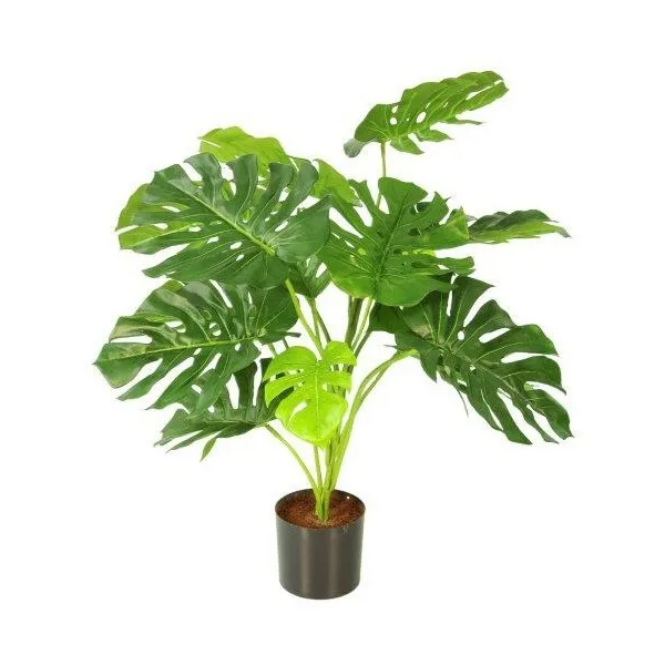 🔥 Planta Monstera 15 RF Ignífuga