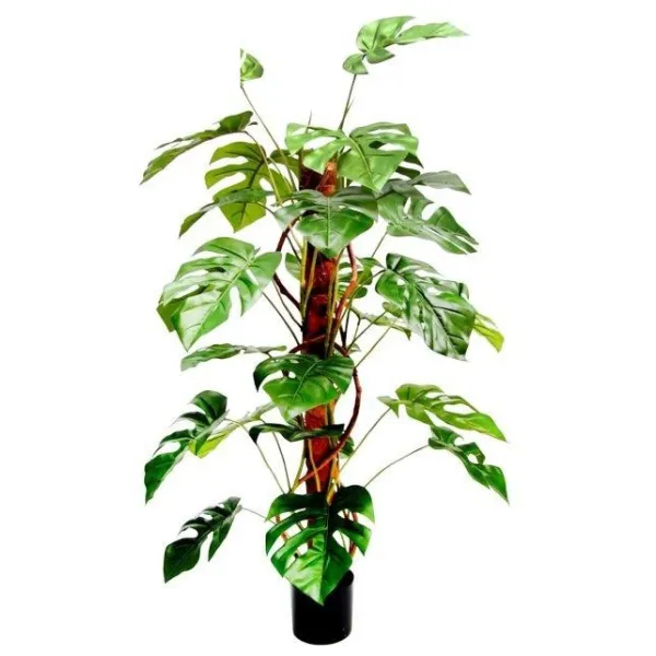 🔥 Tutor Monstera 28 RF Ignífugo