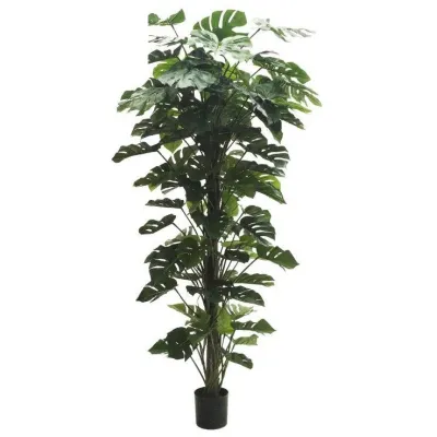 comprar 🔥 Tutor Monstera Costilla Grande 230 cm RF Ignífugo online de  desde 1,057.54
