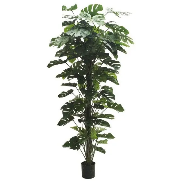 🔥 Tutor Monstera Costilla Grande 230 cm RF Ignífugo