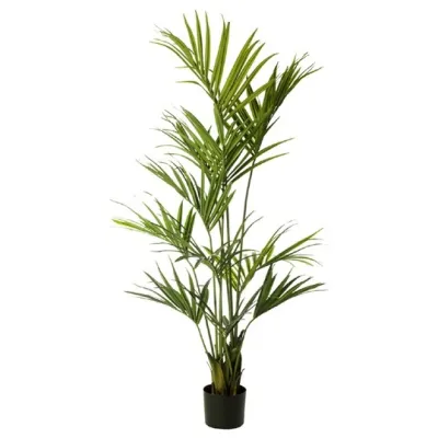 comprar 🔥 Palmera Kentia 120 cm RF Ignífuga online de  desde 267,18 €