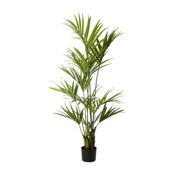 🔥 Palmera Kentia 120 cm RF Ignífuga