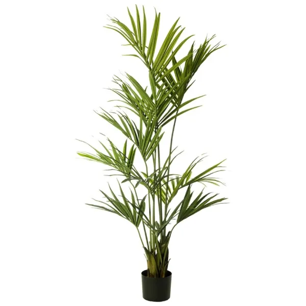 🔥 Palmera Kentia 200 cm RF Ignífuga