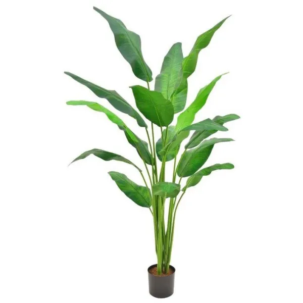 🔥 Planta Strelitzia RF Ignífuga