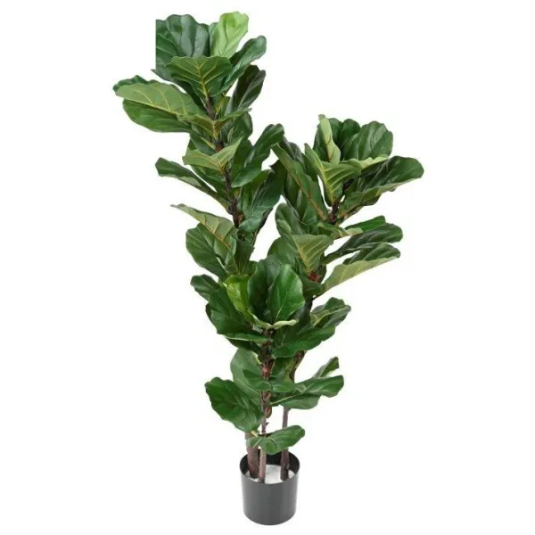 🔥 Planta Lyrata 140 RF Ignífuga