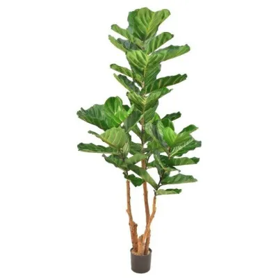 comprar 🔥 Árbol Lyrata 200 cm RF Ignífugo online de  desde 641,30 €