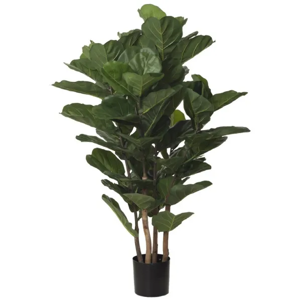 🔥 Árbol Ficus Lyrata 150 cm RF Ignífugo