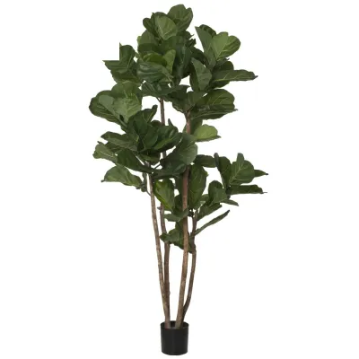 comprar 🔥 Árbol Ficus Lyrata 240 cm RF Ignífugo online de  desde 917,18 €