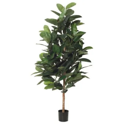 comprar 🔥 Árbol Ficus Rubber 180 cm RF Ignífugo online de  desde 612,26 €