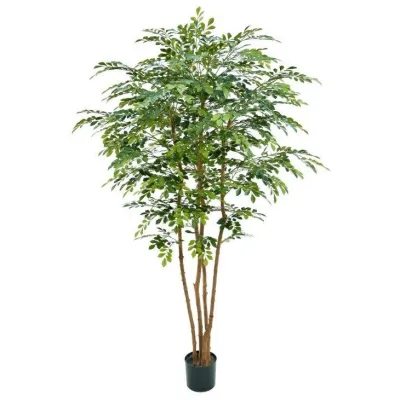 comprar 🔥 Árbol Murraye 215 RF Ignífugo online de  desde 601,38 €