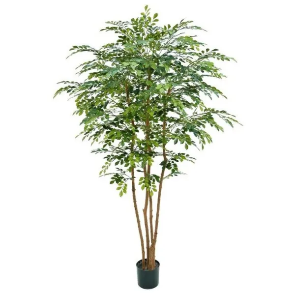 🔥 Árbol Murraye 215 RF Ignífugo