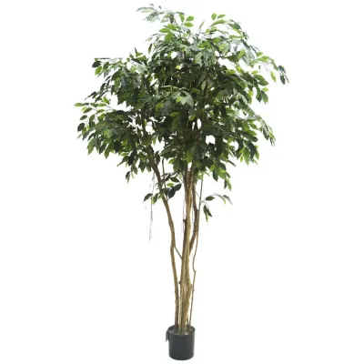 comprar 🔥 Ficus Tropical con Lianas 250 cm RF Ignífugo online de  desde 2,572.18