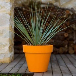 comprar Maceta Aire Small online de desde 0,00 € comprar Maceta Aire Small online de desde 0,00 €