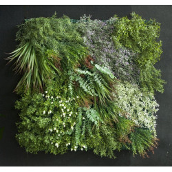 comprar Jardín Vertical Plutón - Interior/Exterior -100cm online de  desde 312,18 €