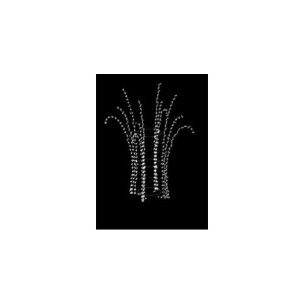 Palmera 3D String