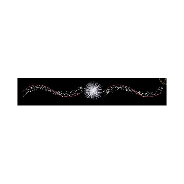 WAVES CLUSTER