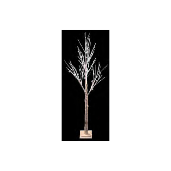 Brich Tree 1,50 m