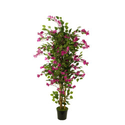 comprar AR.BOUGAMBILIA 1140H456FL 180CM online de  desde 313,75 €