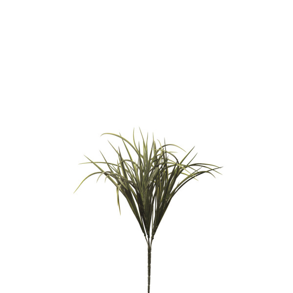477217 MATA GRASS POWDER 40CM