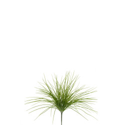 comprar 303024 SPIDER PLANTA online de desde 24,20 € comprar 303024 SPIDER PLANTA online de desde 24,20 €