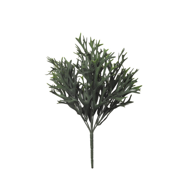 479411 MATA CITRONELA X7 35CM