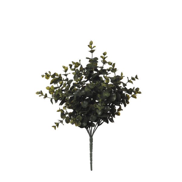 479479 MATA EUCALIPTUS X7 35CM