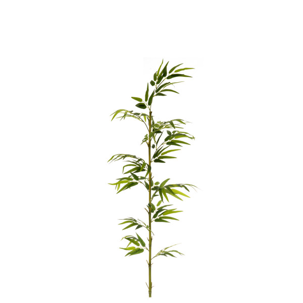 474792 FB CAÑA BAMBU NATURAL 4,3R EC C/H 150CM