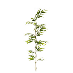 comprar 474809 FB CAÑA BAMBU NATURAL 5R EC C/H 180CM(30 online de desde 39,66 € comprar 474809 FB CAÑA BAMBU NATURAL 5R EC C/H 180CM(30 online de desde 39,66 €