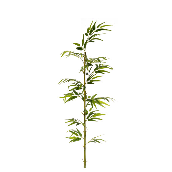 474809 FB CAÑA BAMBU NATURAL 5R EC C/H 180CM(30