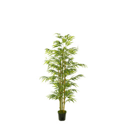 comprar 478009 FB ARBOL BAMBU EC 120CM C/M(306002) online de desde 78,41 € comprar 478009 FB ARBOL BAMBU EC 120CM C/M(306002) online de desde 78,41 €