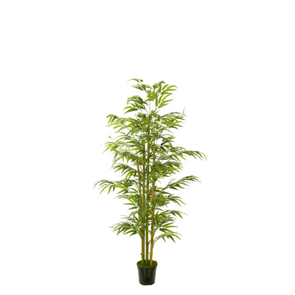 478009 FB ARBOL BAMBU EC 120CM C/M(306002)