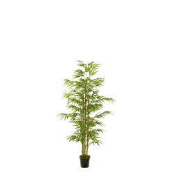 comprar 477994 FB ARBOL BAMBU EC 90CM C/M(306002) online de desde 60,02 € comprar 477994 FB ARBOL BAMBU EC 90CM C/M(306002) online de desde 60,02 €