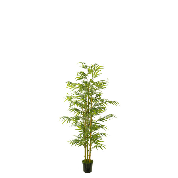 477994 FB ARBOL BAMBU EC 90CM C/M(306002)