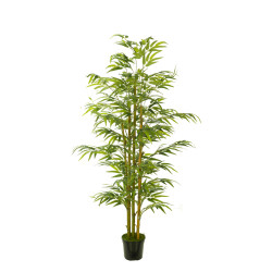 474726 FB ARBOL BAMBU EC 180CM C/M(306002)